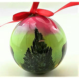 ADKX Moose in Northern Lights Ornament
