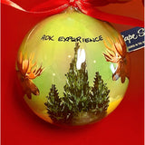 ADKX Moose in Northern Lights Ornament