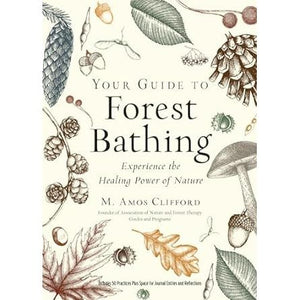 Your Guide to Forest Bathing