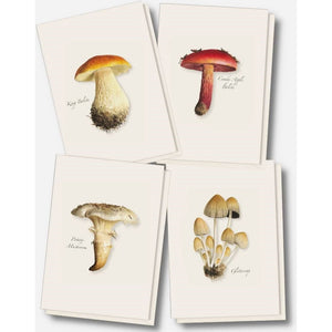 Mushroom Assortment Note Cards