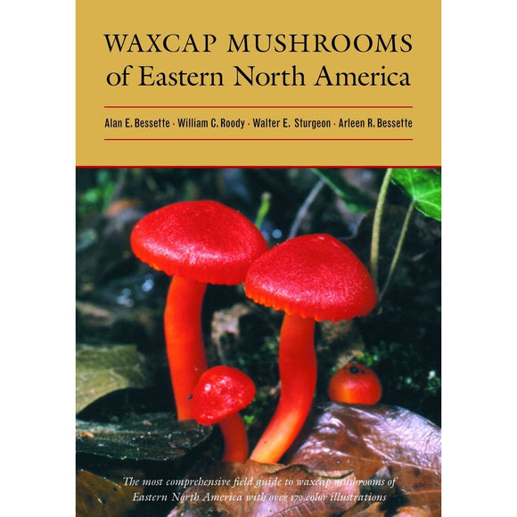 Waxcap Mushrooms of Eastern North America