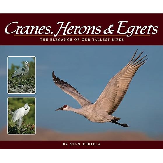 Cranes, Herons & Egrets: The Elegance of Our Tallest Birds