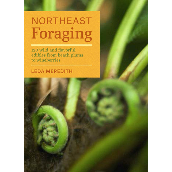 Northeast Foraging