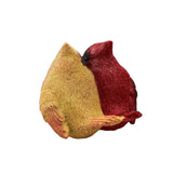 Resin Cardinal Pair