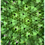 Huckleberry Do-It-Yourself Kaleidoscope