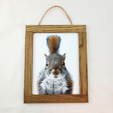 Baby Animal Portraits