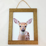 Baby Animal Portraits