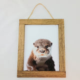 Baby Animal Portraits