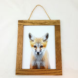 Baby Animal Portraits