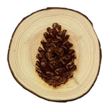 Engraved Wood Cookie Coasters (3 styles--sizes may vary)