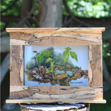 Spalted Maple Photo Frame (2 Styles Available)