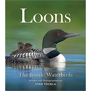 Loons: The Iconic Waterbirds