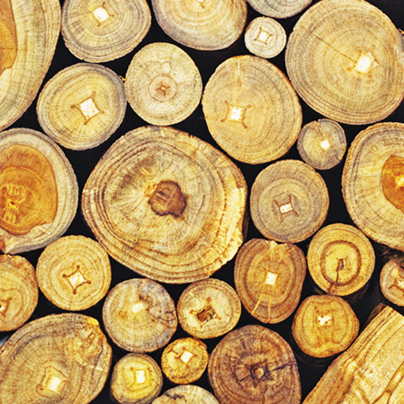 Wood Log Napkins