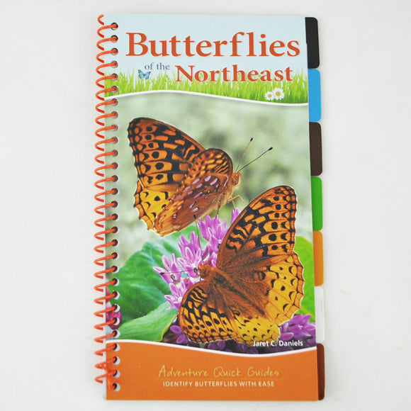 Butterflies of the Northeast