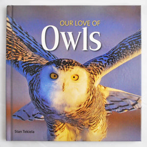Our Love of Owls
