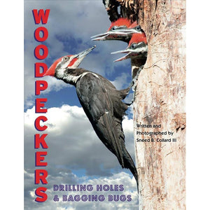Woodpeckers: Drilling Holes and Bagging Bugs