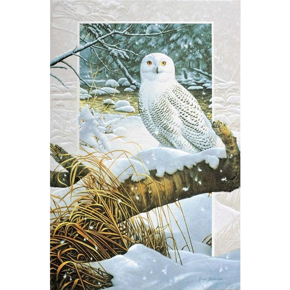 Boxed Set of Snowy Owl Greeting Cards